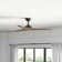52" Chisel 3 - Blade Ceiling Fan with Wall Control