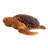 Giant Loggerhead Sea Turtle Statue