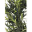 24" Artificial Olive Leaf Wreath-202789391