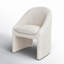 Kagan Chenille Dining Chair-1022644842