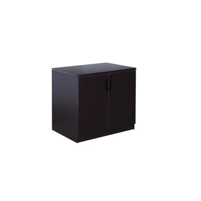 Patchway 2 Door Storage Cabinet by Symple Stuff
