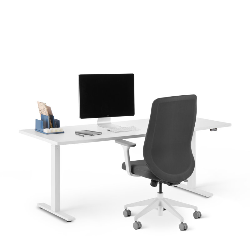 AllModern Poppin height adjustable standing desk