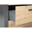 Ceji Bookcase