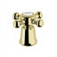Polished Brass