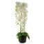 Real Touch Artificial Orchids Plastic, Silk Artificial Arrangement in Planter-107236912-88685008