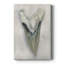 Aquarelle Sharks Tooth II - galerie Cavas-306326099