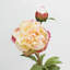 Peony Faux Floral-1036916917-1036916919