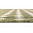 Green Traliccio Indoor/Outdoor Trellis Rug-126910421