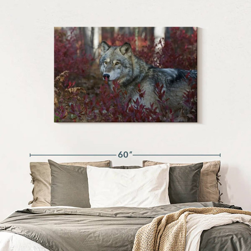 Brampt Gray Timber Wolf, 30" H x 45" W