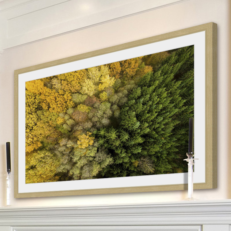 Karolis Janulis - Single Picture Frame Print, 41 cm H x 61 cm W x 3.81 cm D