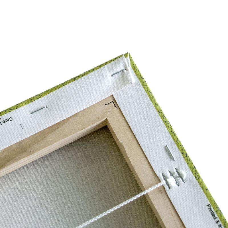 Geometric 2 by Chalie MacRae - Single Picture Frame Print on Canvas, 76cm H x 76cm W x 4cm D, Black