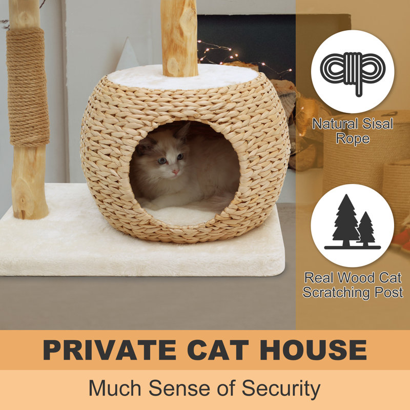 Kelston 40.5" Cat Tree for Indoor Small Cats, Woven Cattail Fabric