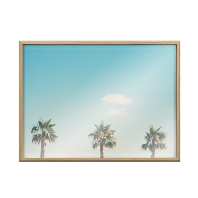 «Darrus A Trio Of Palm Trees» par Laura Evans - reproduction à cadre flottant