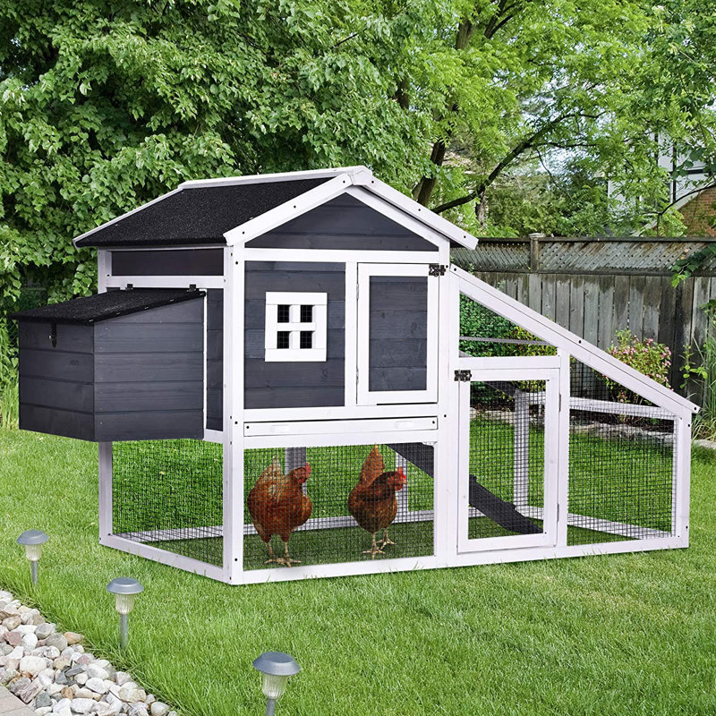 Maeva Chicken Coop with Nesting Box