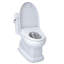 Guinevere 1.28 GPF Floor Mounted Bidet Toilet (Seat Included)