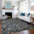Machine Washable Indoor/Outdoor Chantille ACN2463 Traditional Rug-2027635568-2027635569