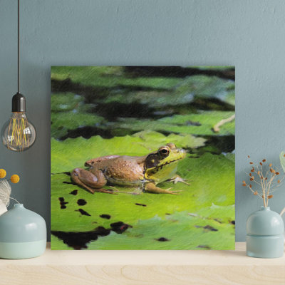 «Green Frog On Green Water Lily Pad», reproduction d'art graphique carré sur toile tendue
