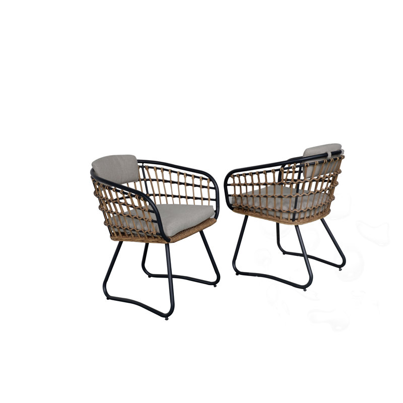 Ensemble de chaises d'extérieur en osier avec coussins (ensemble de 2)