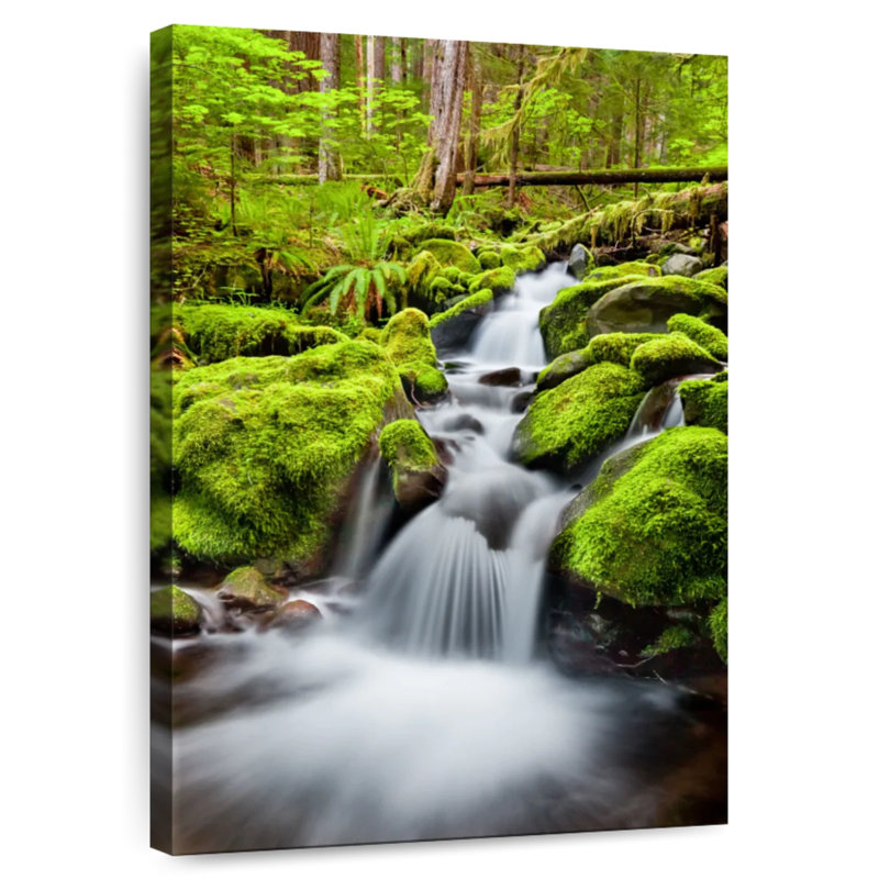 Alvord Cascade At Olympic National Forest, 51" H x 34" W