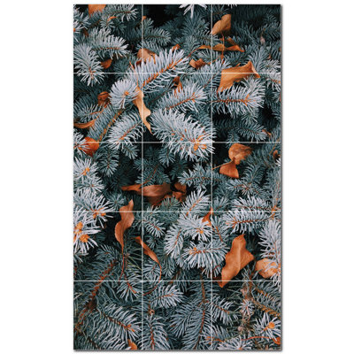 Photo d'hiver 12 x 12