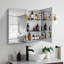 Armoire à pharmacie 30X26