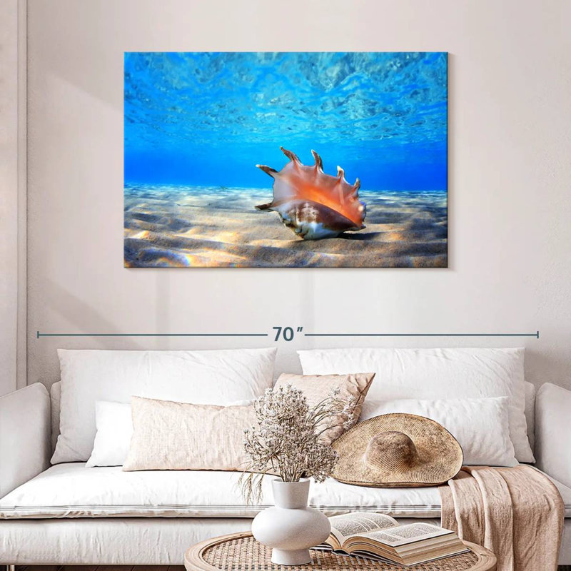 Seashell treasure Aletra, H 30 po x l 45 po