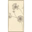 Cosmos I Giclee Print by Susan Hable