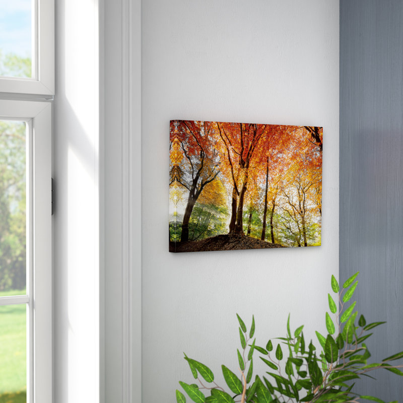 « prism of light », reproduction de photo sur toile, H 18 po x l 26 po x p 1,5 po, Toile avec cadre noir, Pas de tapis