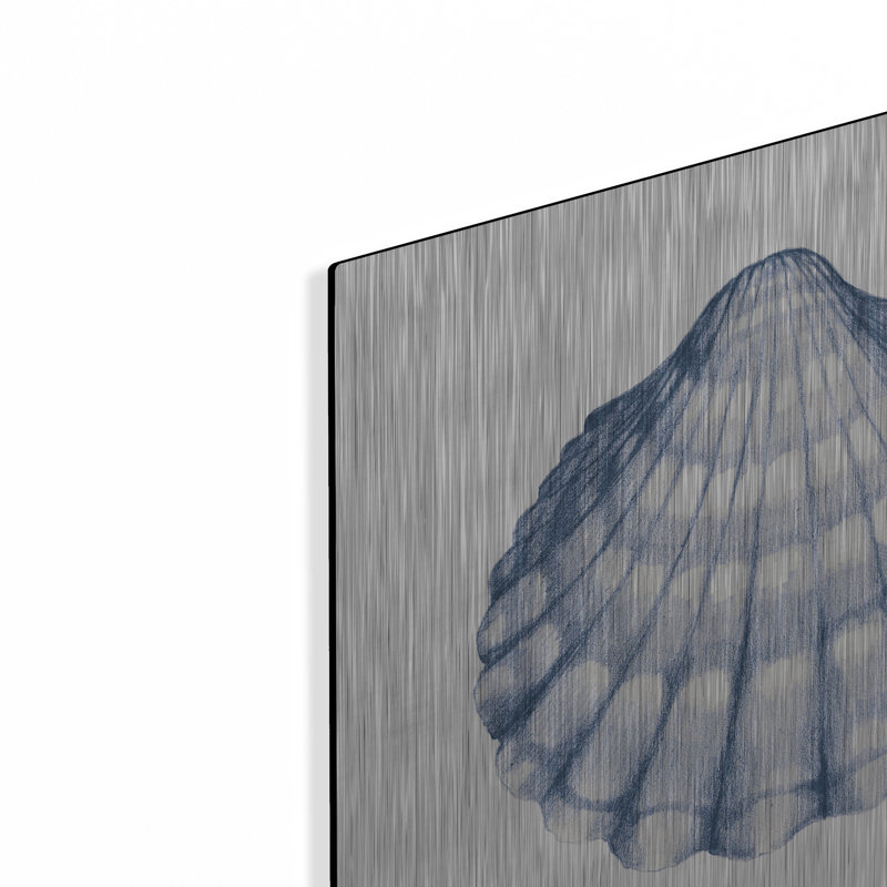 Art mural en métal «Shells 3 Blue And White» par Kathleen Parr, H 12 po x l 12 po