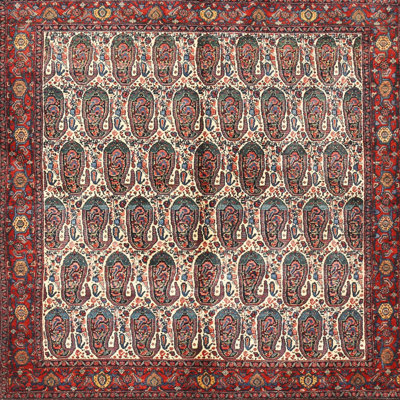 Paisley Indoor Rug