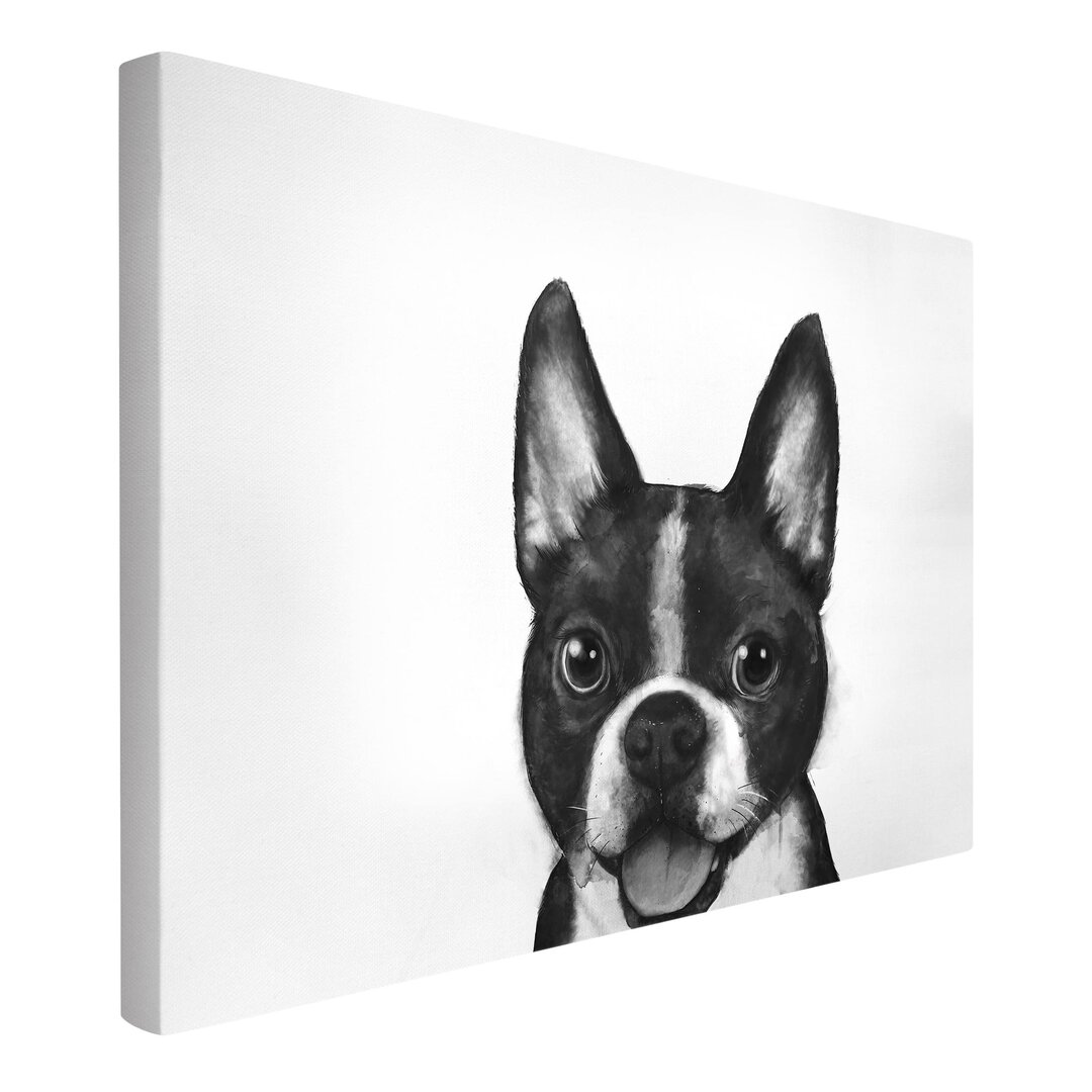 Leinwandbild Illustration Hund Boston