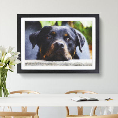 Rottweiler Dog - Picture Frame Graphic Art