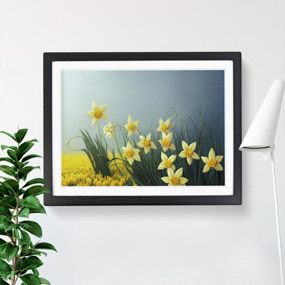 Showstopping Daffodil Flowers - Framed Print