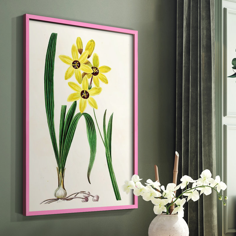 Reproduction encadrée Antique Floral Folio VI - bois massif, Rose, H 10 po x l 8 po