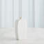 Ceramic Decorative Bottles