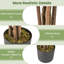 150cm Faux Croton Tree