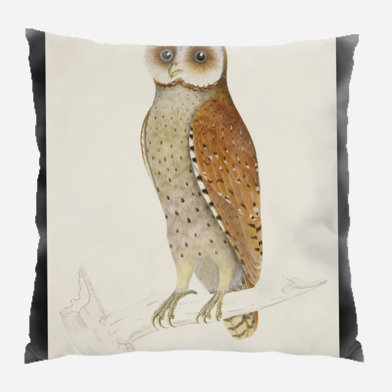 Coussin décoratif Breanna, Microsuède, Intérieur 