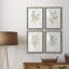 Simple Sprig I - ensemble de 4 reproductions de cadres photo-2075732655-2075732640