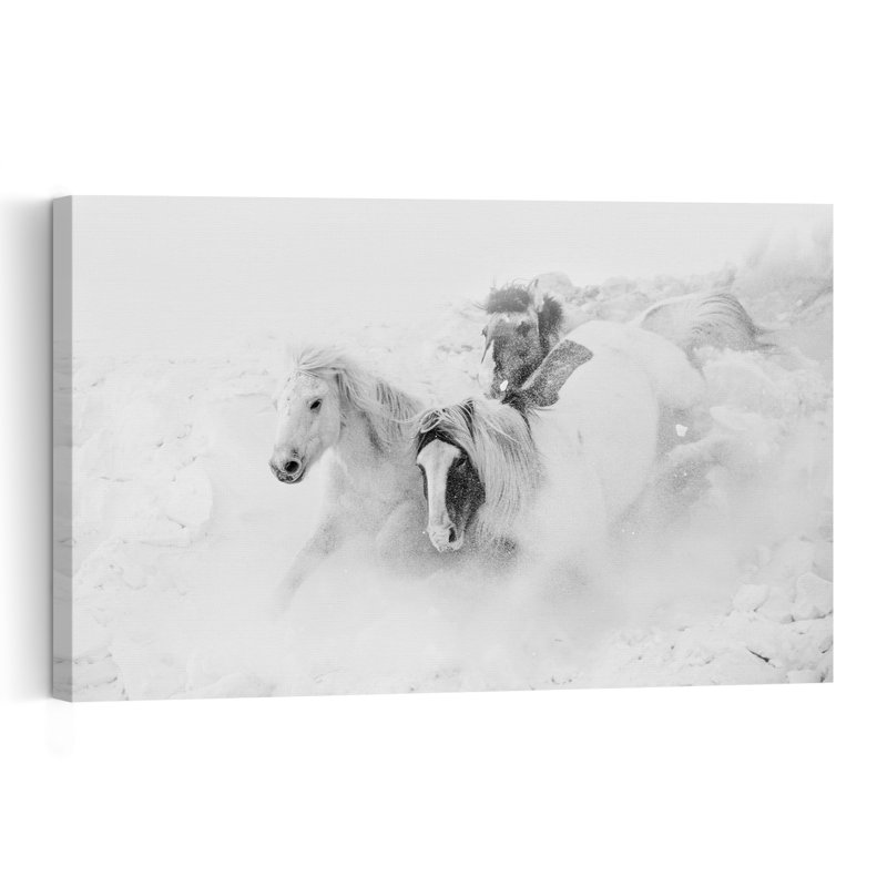 Reproduction d'art mural cheval sauvage, 16" H x 24" W