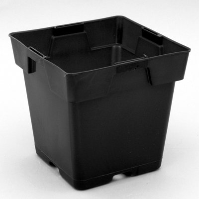 Amdad Nursery Pot