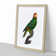 Red-Lored Amazon Parrot by F. Levaillant - Picture Frame Painting Print