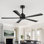 Ventilateur de plafond 52 po avec lumière et télécommande