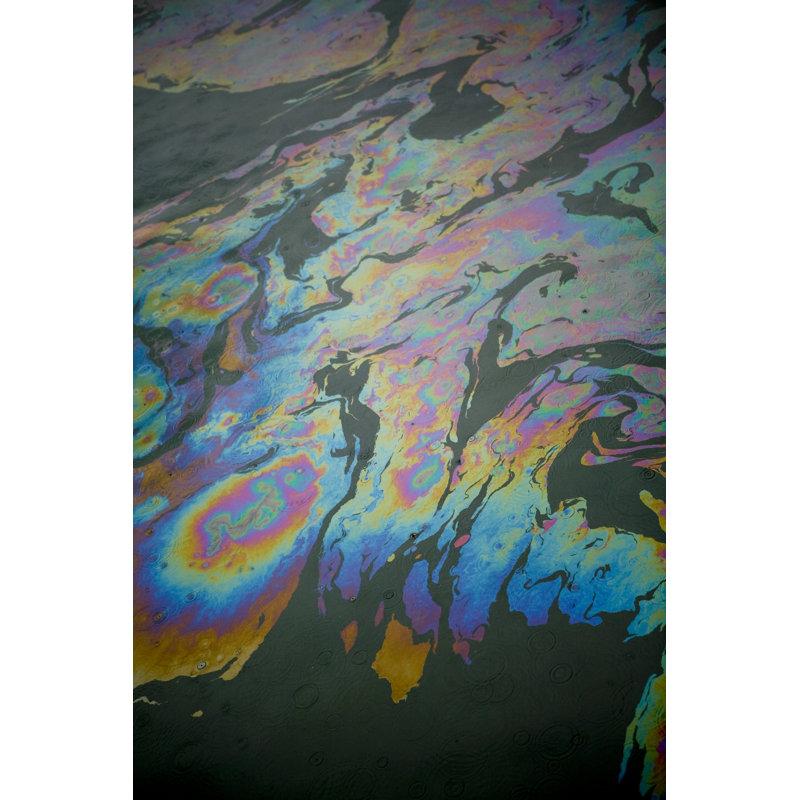 Oil Slick by P_Wei - Wrapped Canvas Print, 122cm H x 81cm W x 3.8cm D