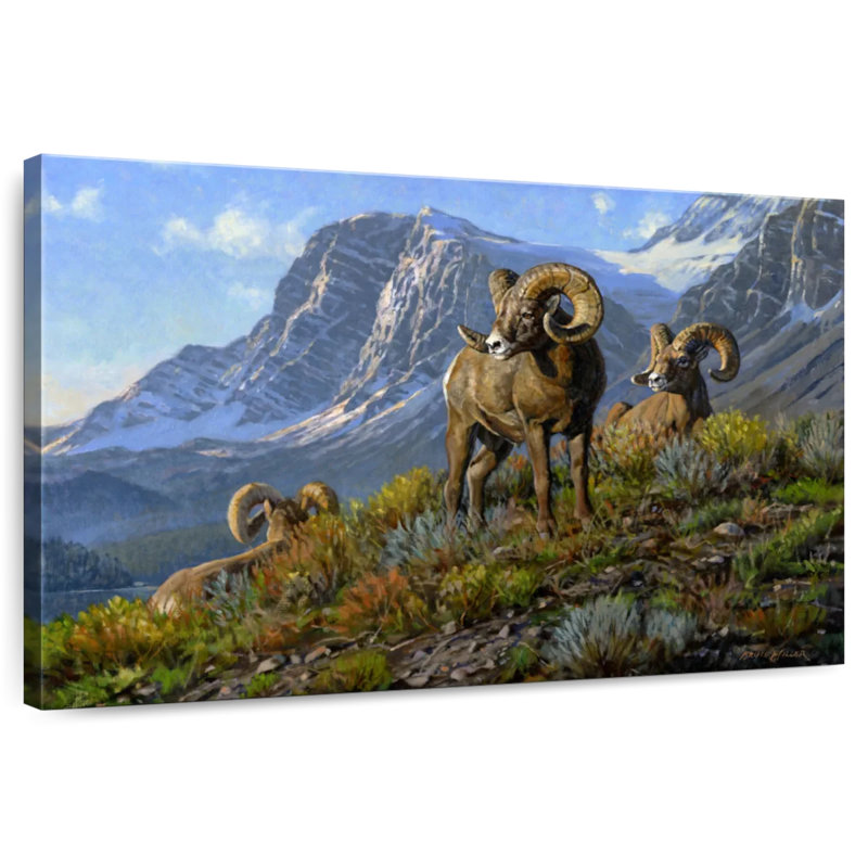 Rams, 8" H x 12" W
