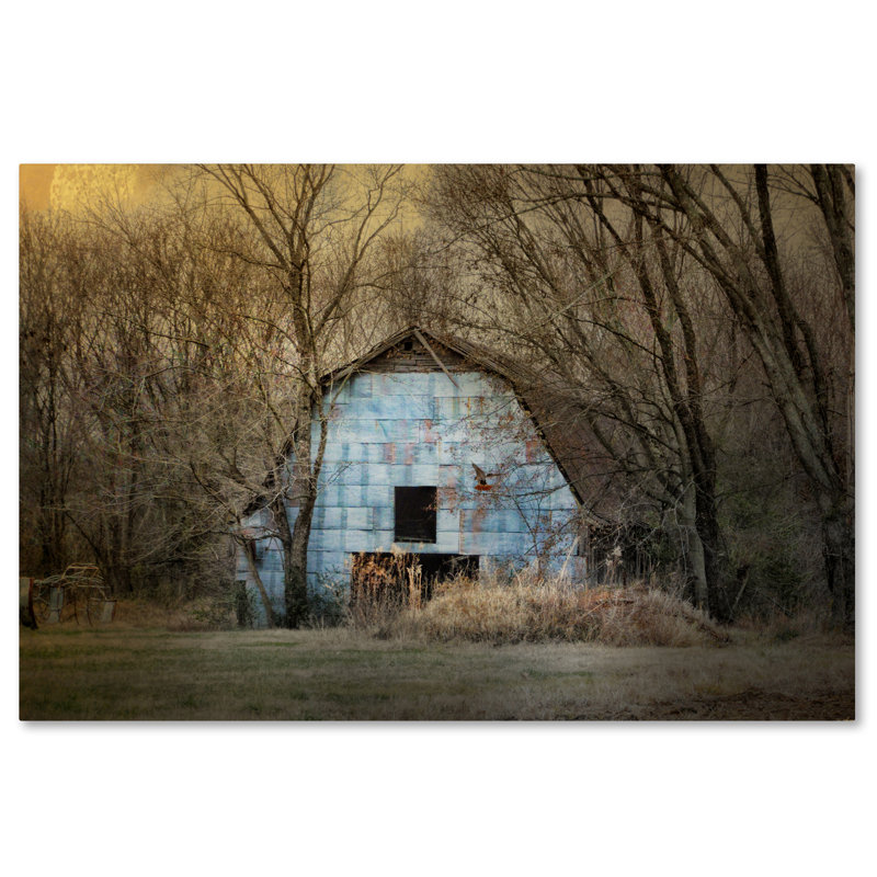 «Redtail at the Blue Barn», reproduction de photo sur toile tendue Vidur, H 12 po x l 19 po