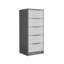 Accent Chest-94239247