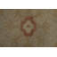 Versatile beauty: Ziegler Oriental Area Rug 9x12
