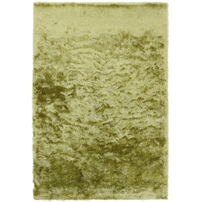 Makaila Silky Shaggy Apple Area Rug