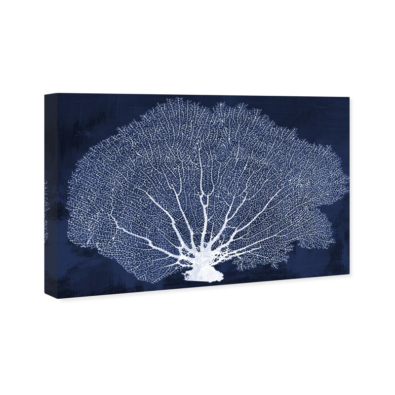 " Coral Fan Cyanotype Marine Life " by Oliver Gal, 36" H x 54" W, Wrapped Canvas, No Frame