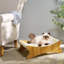 Chaise longue pour chat